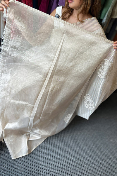 Borderless Organza Saree With Applique & Blouse Material- ONAM