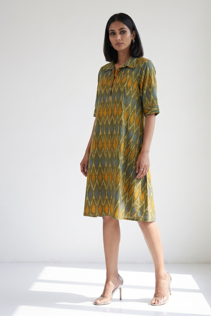 Spring Meadow Ikat Cotton Contemporary Collar Swing Dress Mc