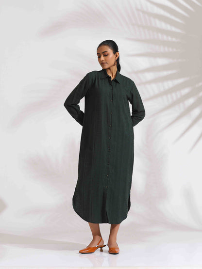 trueBrowns Green Cotton Shirt Dress