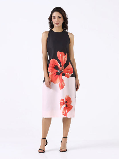 Women Black Midnight Bloom A-Line Dress