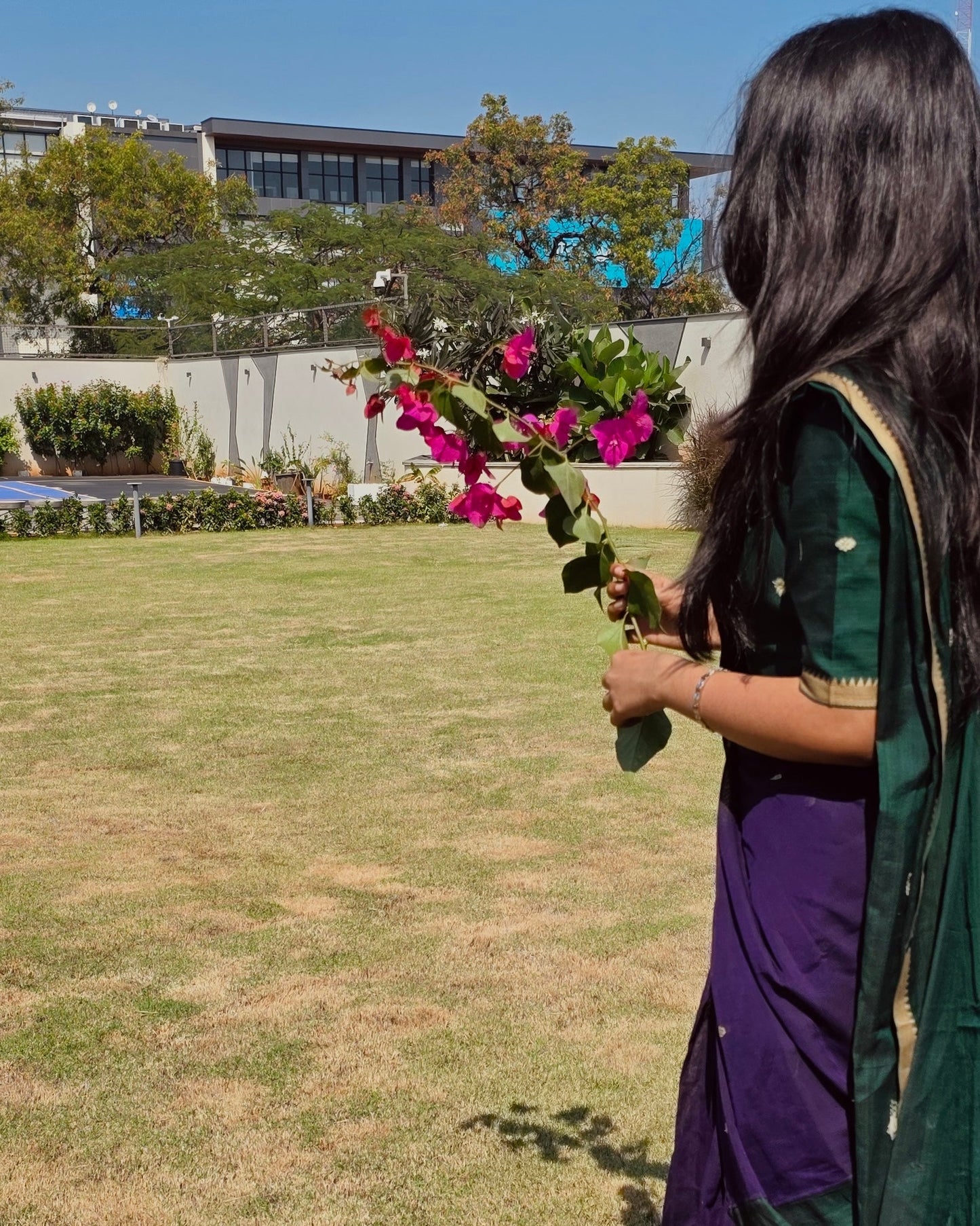 Studio Purple With Green Half Saree