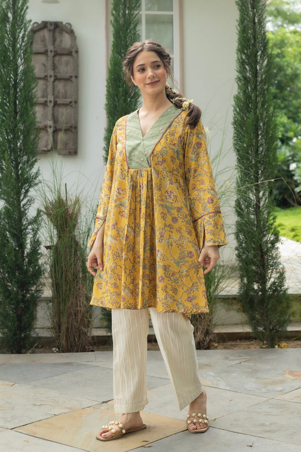 ANU ZARIN COTTON KURTA