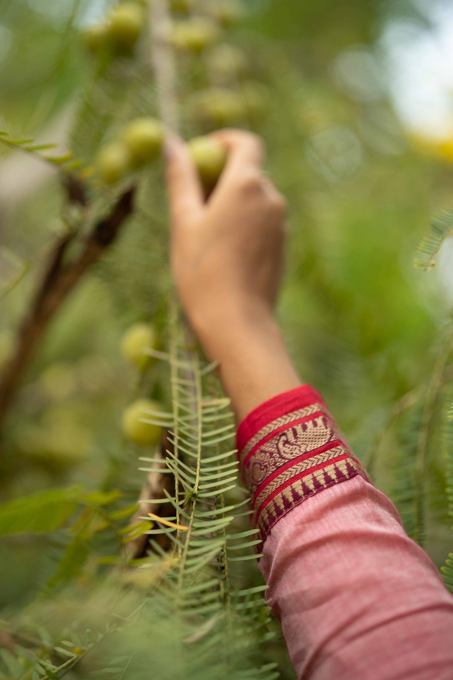 Studio Pink Malar Narayanpet Cotton Top & Dupatta Set
