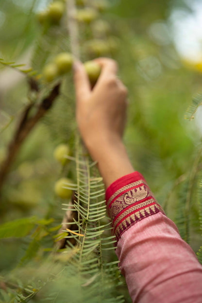 Studio Pink Malar Narayanpet Cotton Top & Dupatta Set