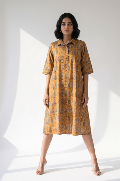 Sand Dune Rustic Paisley Cotton Contemporary Collar Swing Dress Mc