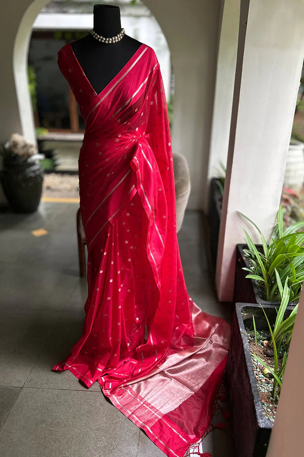 Organza Saree Line Border Red Border