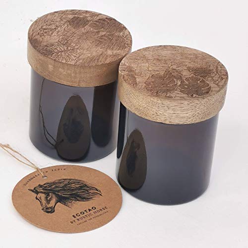 Artsy Wood and Glass 100ml Kitchen jar for Storage and Decor. Set of 2 (Island)