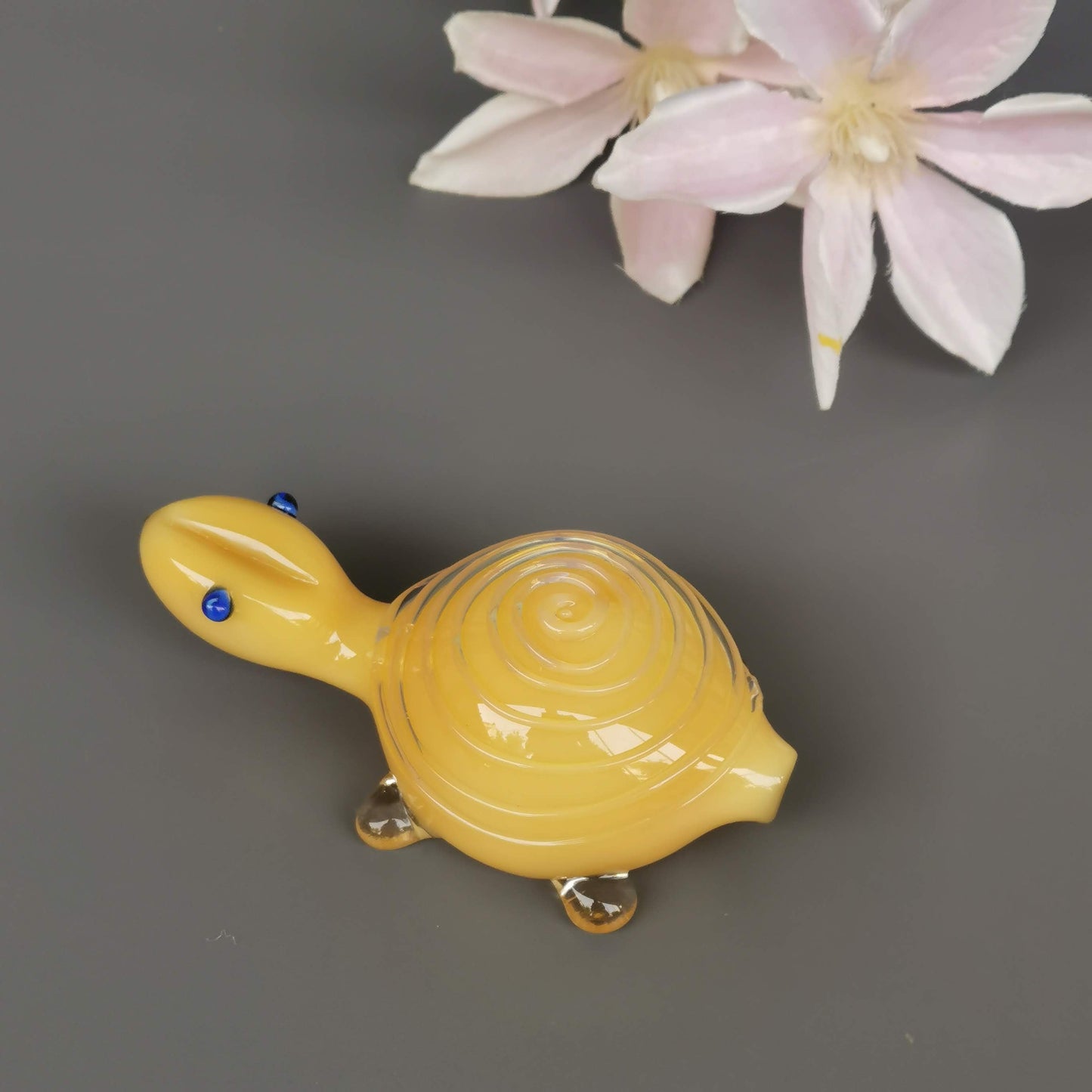 Glass Turtles- Ivory