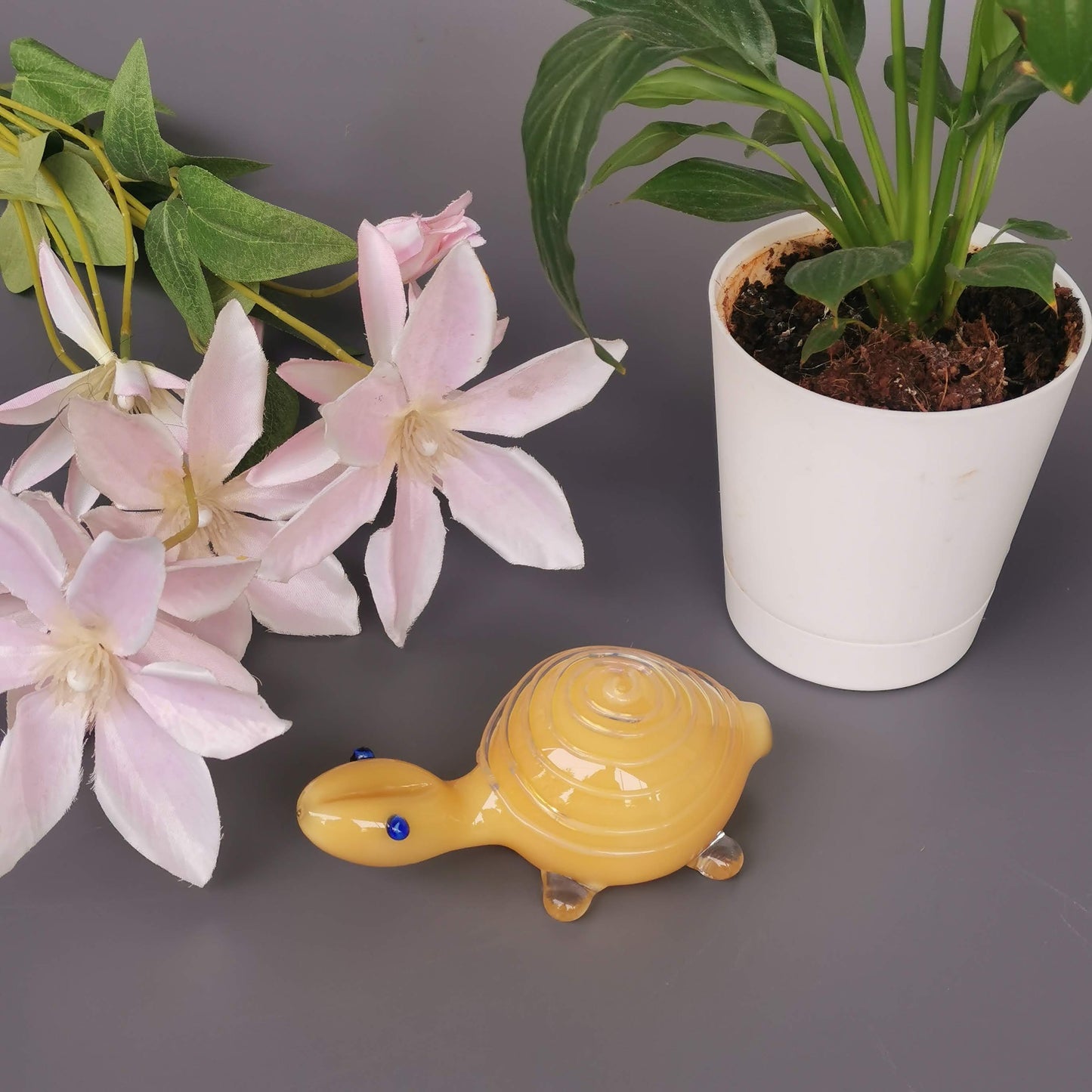 Glass Turtles- Ivory