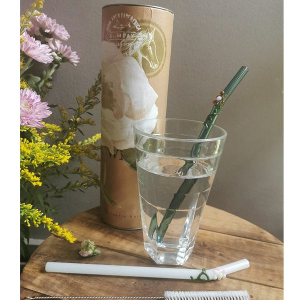 Glass Straws  with flora art  decor. 8" x 9.5 mm Handblown -Pack of 2 with brush