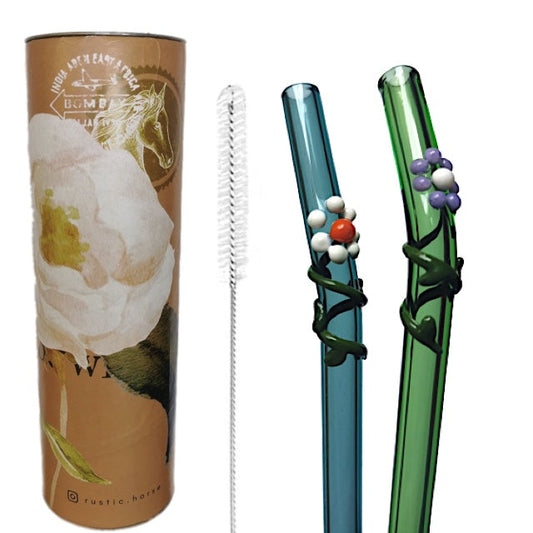 Glass Straws  with flora art  decor. 8" x 9.5 mm Handblown -Pack of 2 with brush